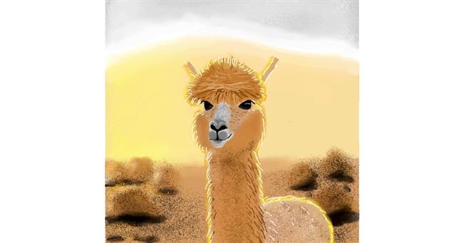 Drawing of Llama by Joze