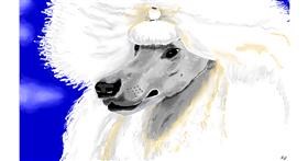 Pudlica - autor: flowerpot