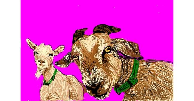 Drawing of Goat by Qt