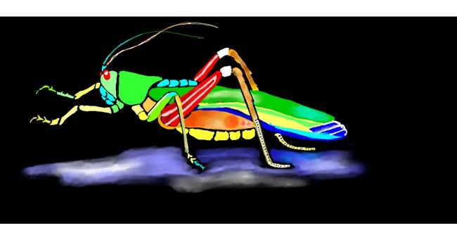 Heuschrecke-Zeichnung von Kim