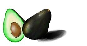 Avocado-Zeichnung von Randar