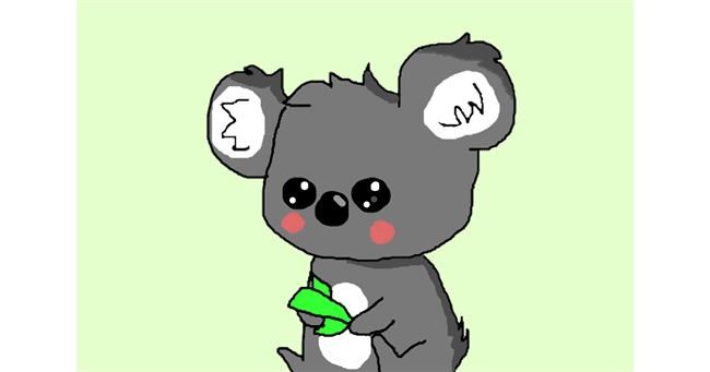 Koala - autor: Brynn