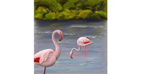 Flamingo - autor: Andromeda