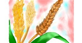 Drawing of Wheat by zeenmachine
