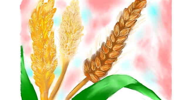 Drawing of Wheat by zeenmachine