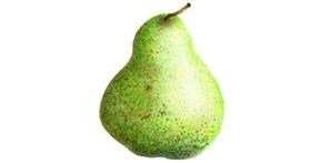 Drawing of Pear by 🇭🇰 Acemca Lam