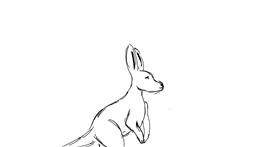 Drawing of Kangaroo by Elementary artist