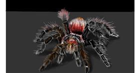 Drawing of Spider by teidolo