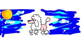 Drawing of Poodle by barbiana