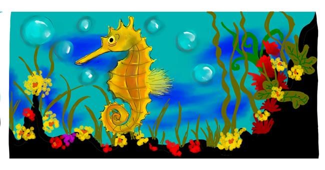 Drawing of Seahorse by DebbyLee