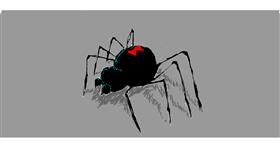 Drawing of Spider by tin