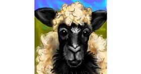 Drawing of Sheep by KayXXXlee