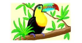 Drawing of Toucan by DebbyLee