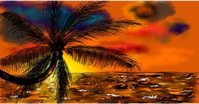 Drawing of Palm tree by Eclat de Lune