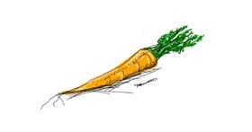 Drawing of Carrot by Hannah