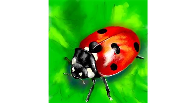 Drawing of Ladybug by ⋆su⋆vinci彡