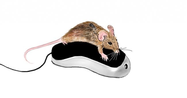 Drawing of Mouse by Chaching