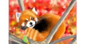 Drawing of Red Panda by RadiouChka🍉