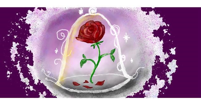 Drawing of Rose by LUN-Aponi