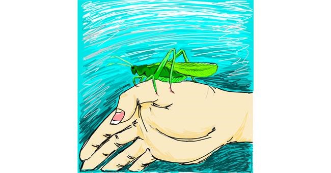 Drawing of Grasshopper by 👽mint