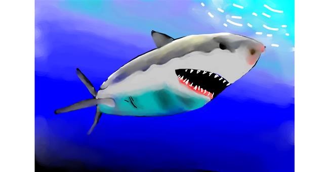 Drawing of Shark by cotton candy