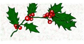 Drawing of Mistletoe by Exo