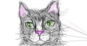 Drawing of Cat by Kiwi