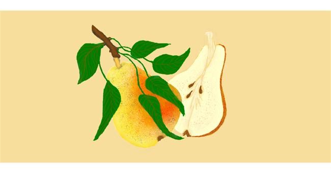 Drawing of Pear by ' Jules