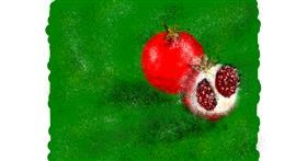 Drawing of Pomegranate by Nonuvyrbiznis 