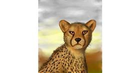 Drawing of Cheetah by Loelia De Luna