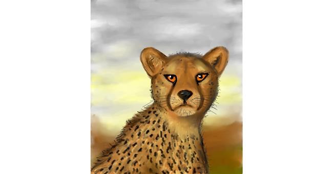 Drawing of Cheetah by Loelia De Luna