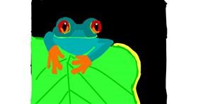 Drawing of Frog by MaRi