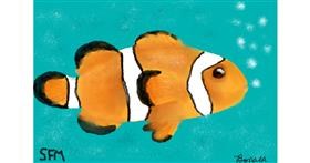 Clownfish - autor: Banana