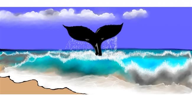 Drawing of Whale by Chaching