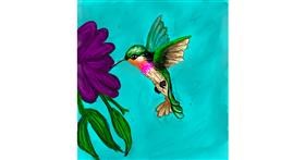 Drawing of Hummingbird by KayXXXlee