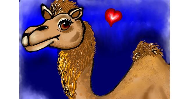 Drawing of Camel by zeenmachine