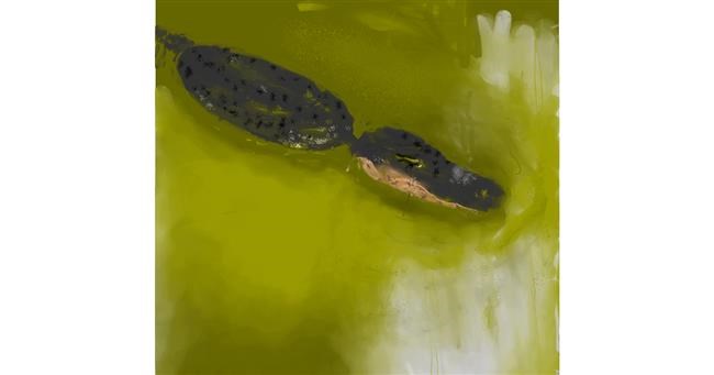 Aligator - autor: Jamilynn