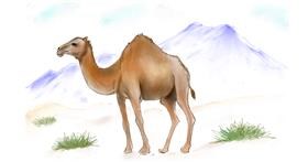 Drawing of Camel by 🌱...Mirdu...💚