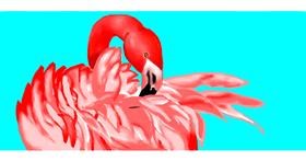 Flamingo-Zeichnung von Jenny