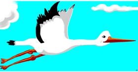 Drawing of Stork by Swimmer 