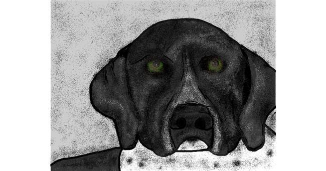 Pas - autor: Malone