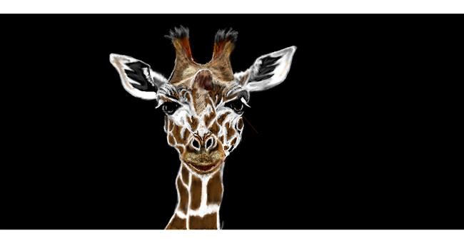 Drawing of Giraffe by Chaching