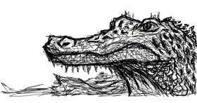 Drawing of Alligator by Jana