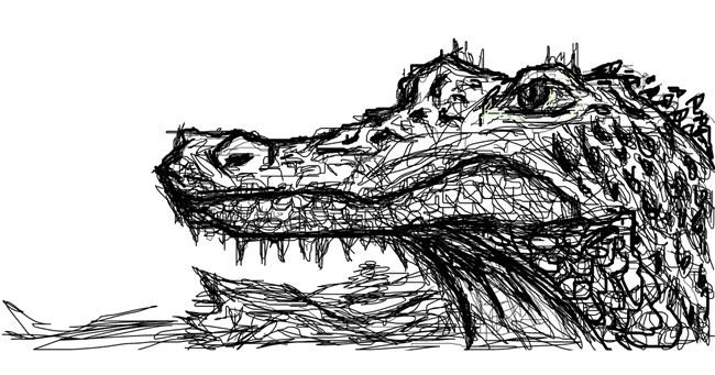 Aligator - autor: Jana