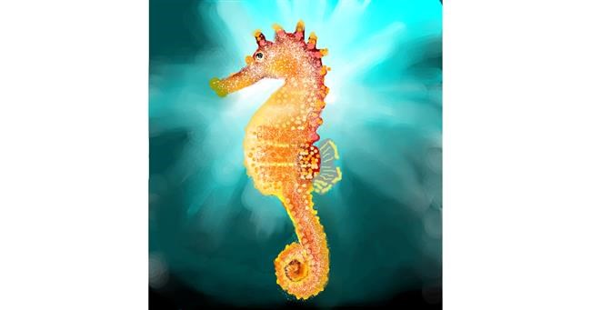 Drawing of Seahorse by Sirak Fish