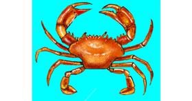 Drawing of Crab by Cec