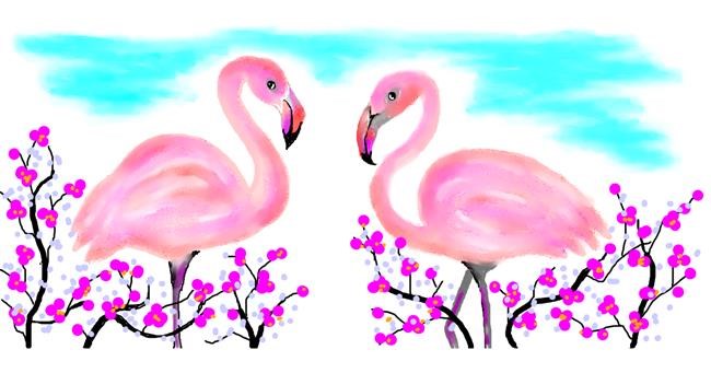 Drawing of Flamingo by DebbyLee