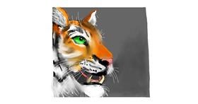 Tigar - autor: DebbyLee