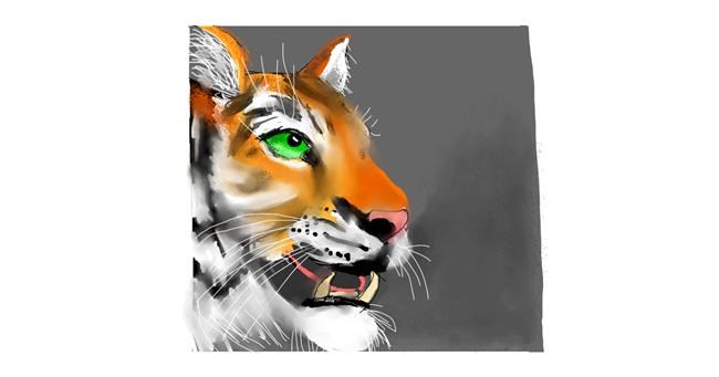 Tigar - autor: DebbyLee