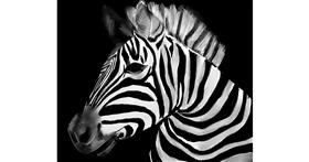 Zebra - autor: Lou